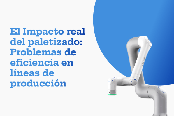 El Impacto real del paletizado